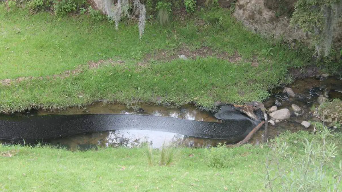 Riachuelo contaminado Alpotzonga